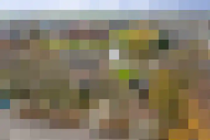 Bûterikkers 16 Workum