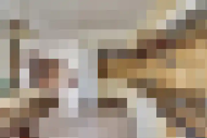 Bûterikkers 16 Workum thumbnail 10