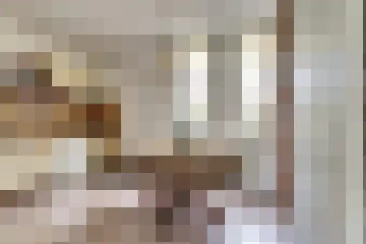 Bûterikkers 16 Workum thumbnail 11