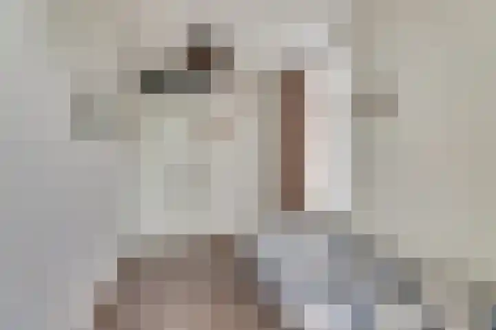 Bûterikkers 16 Workum thumbnail 16