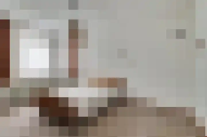 Bûterikkers 16 Workum thumbnail 17