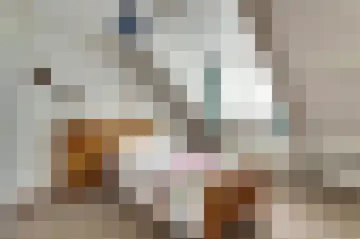 Bûterikkers 16 Workum thumbnail 19