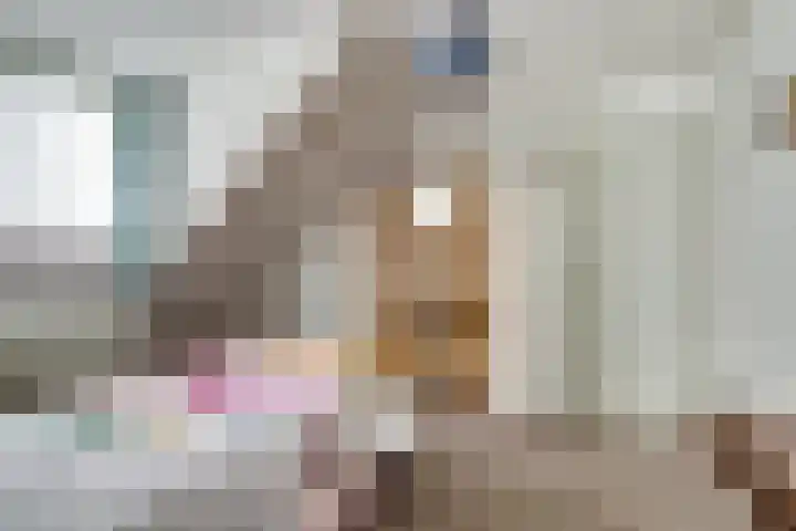 Bûterikkers 16 Workum thumbnail 20