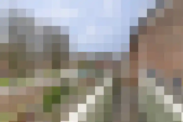 Bûterikkers 16 Workum thumbnail 24