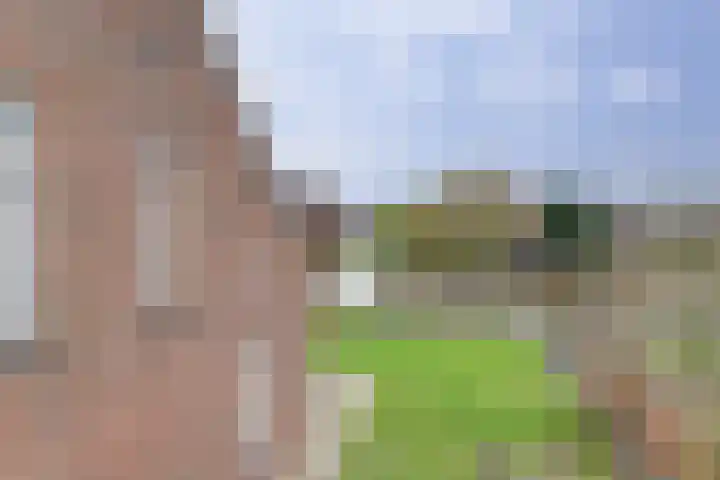 Bûterikkers 16 Workum thumbnail 25