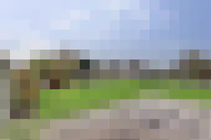 Bûterikkers 16 Workum thumbnail 27