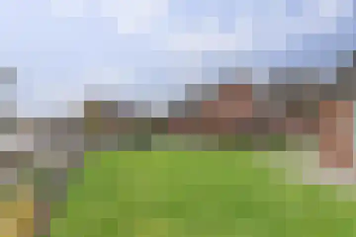 Bûterikkers 16 Workum thumbnail 28