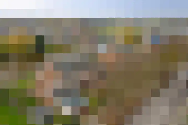 Bûterikkers 16 Workum thumbnail 31
