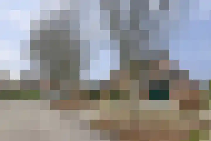 Bûterikkers 16 Workum thumbnail 32