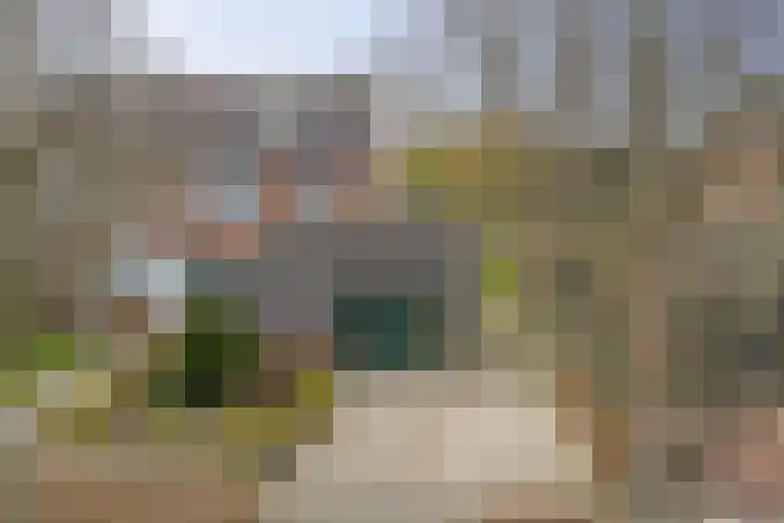 Bûterikkers 16 Workum thumbnail 33