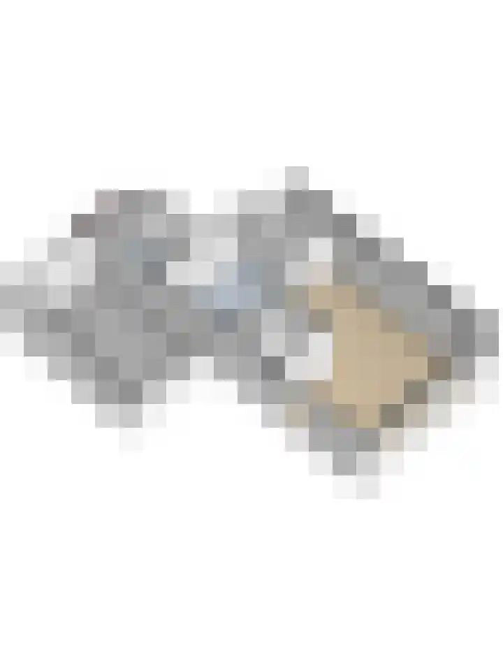 Bûterikkers 16 Workum thumbnail 36