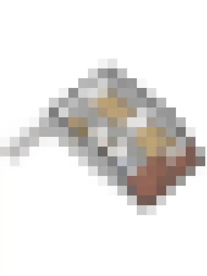 Bûterikkers 16 Workum thumbnail 38