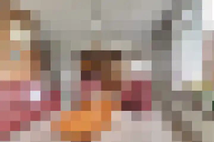 Bûterikkers 16 Workum thumbnail 8