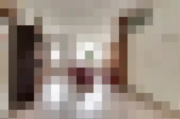 Bûterikkers 16 Workum thumbnail 9