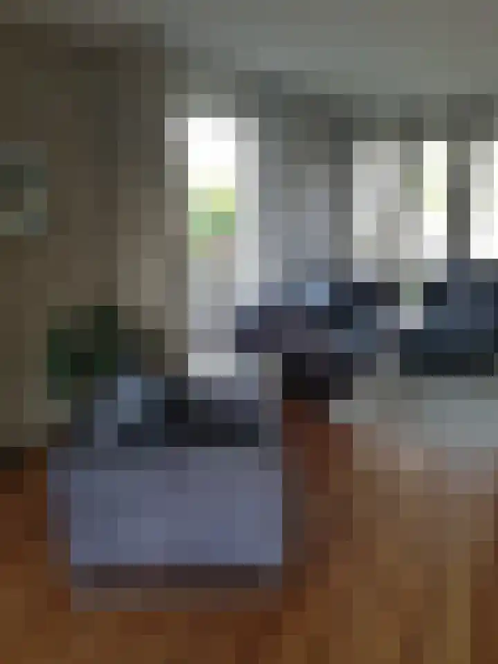 Bûterwâl 8 Akkrum thumbnail 10