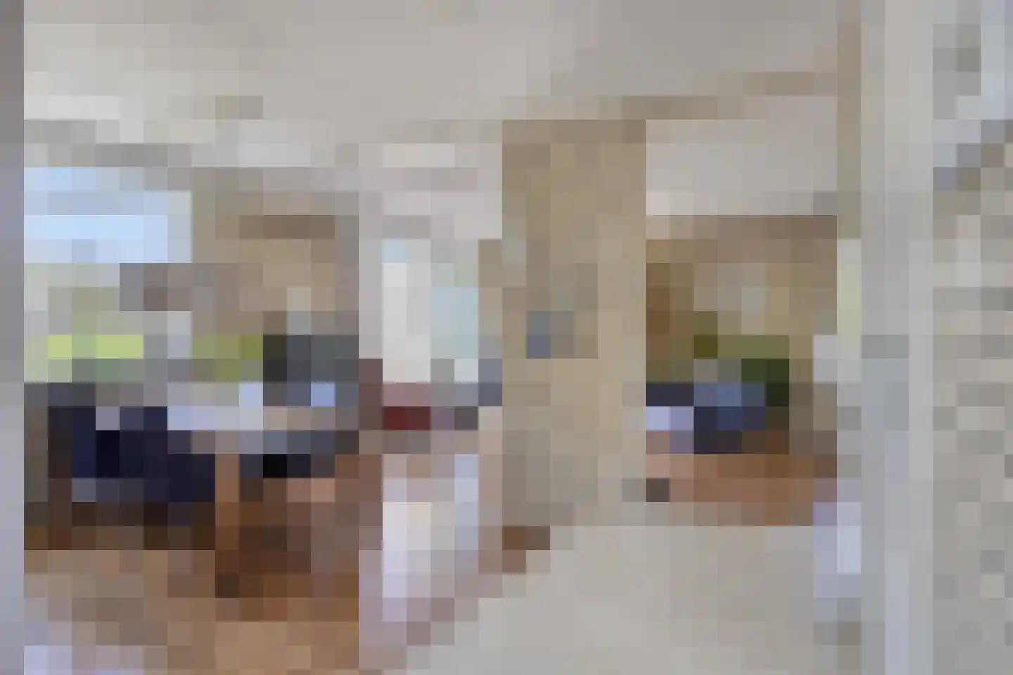 Bûterwâl 8 Akkrum thumbnail 10