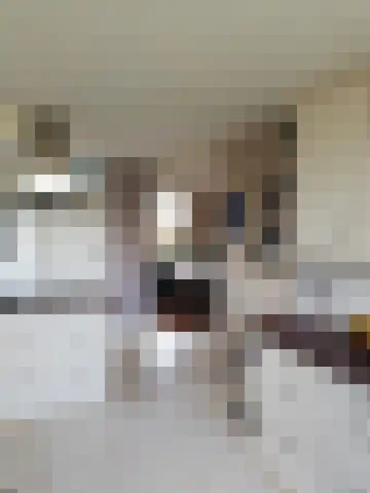 Bûterwâl 8 Akkrum thumbnail 13