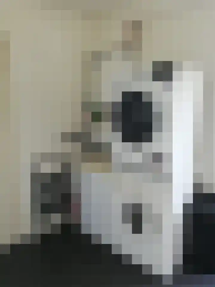 Bûterwâl 8 Akkrum thumbnail 15