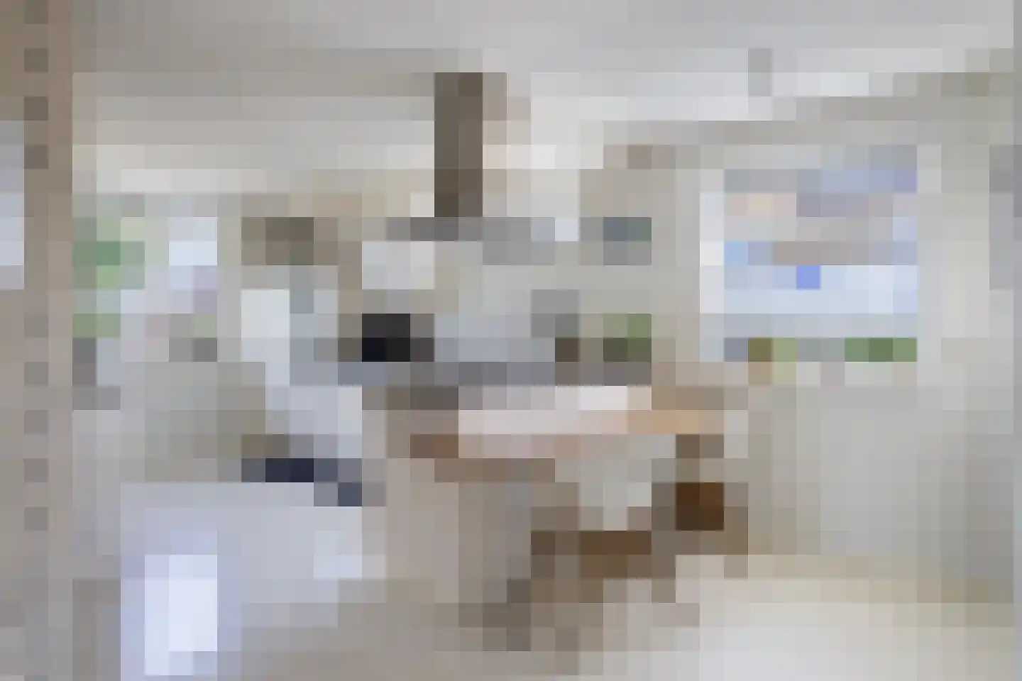 Bûterwâl 8 Akkrum thumbnail 18
