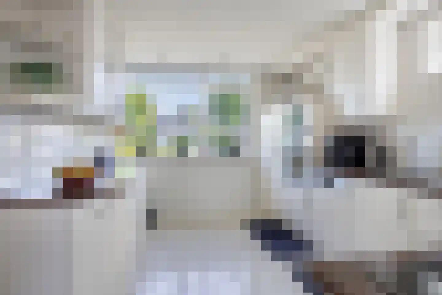 Bûterwâl 8 Akkrum thumbnail 19