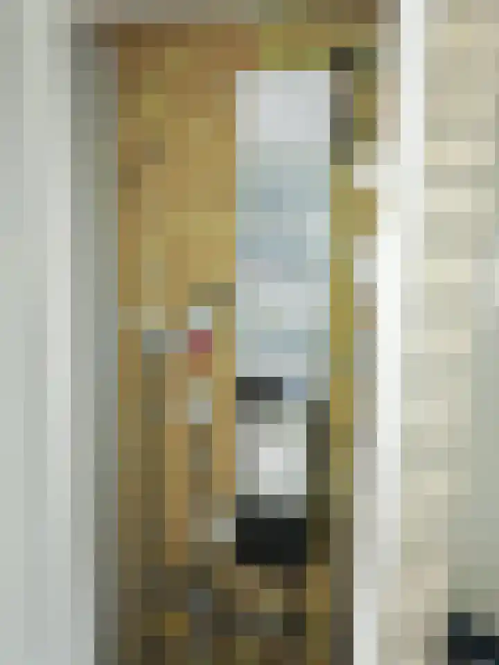 Bûterwâl 8 Akkrum thumbnail 20