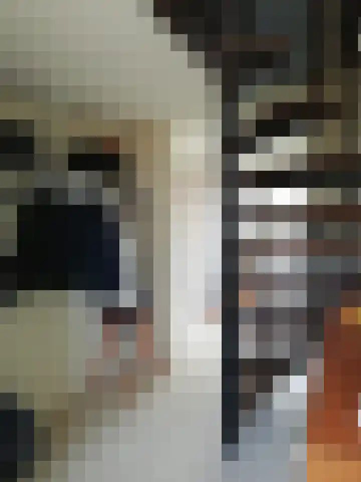 Bûterwâl 8 Akkrum thumbnail 21