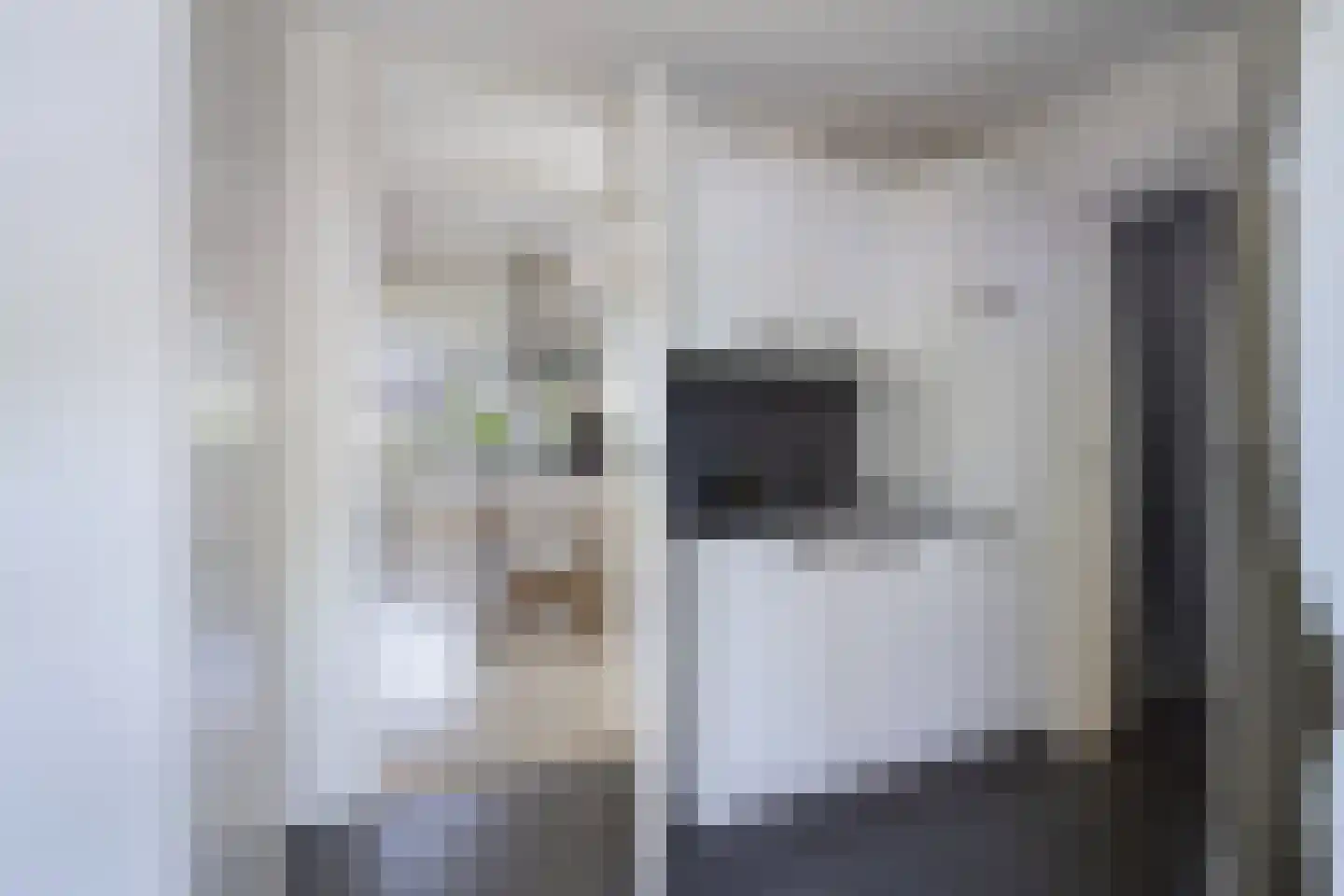 Bûterwâl 8 Akkrum thumbnail 22