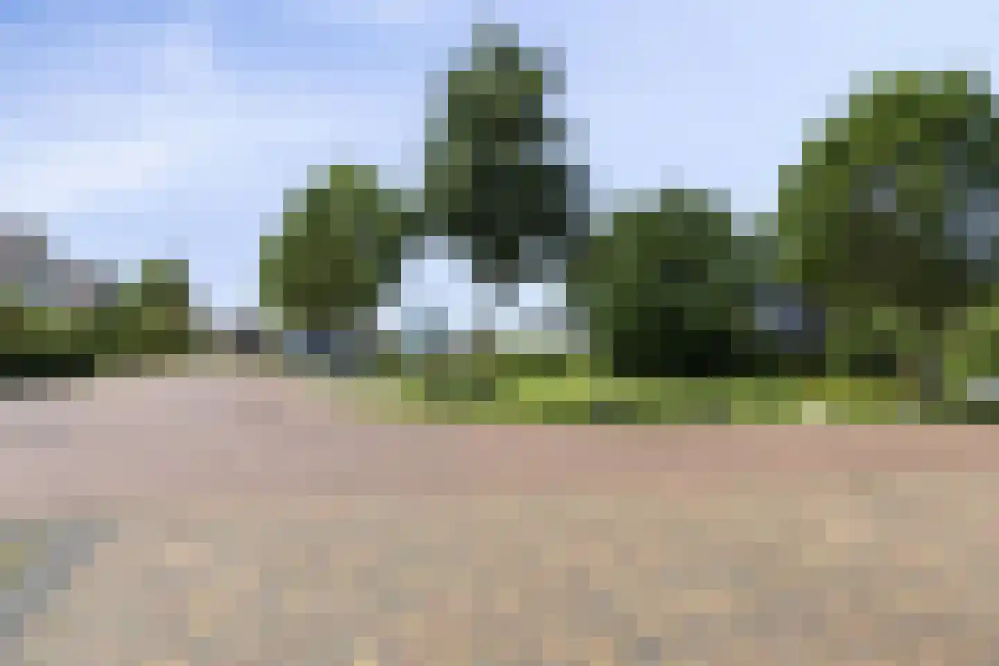 Bûterwâl 8 Akkrum thumbnail 47