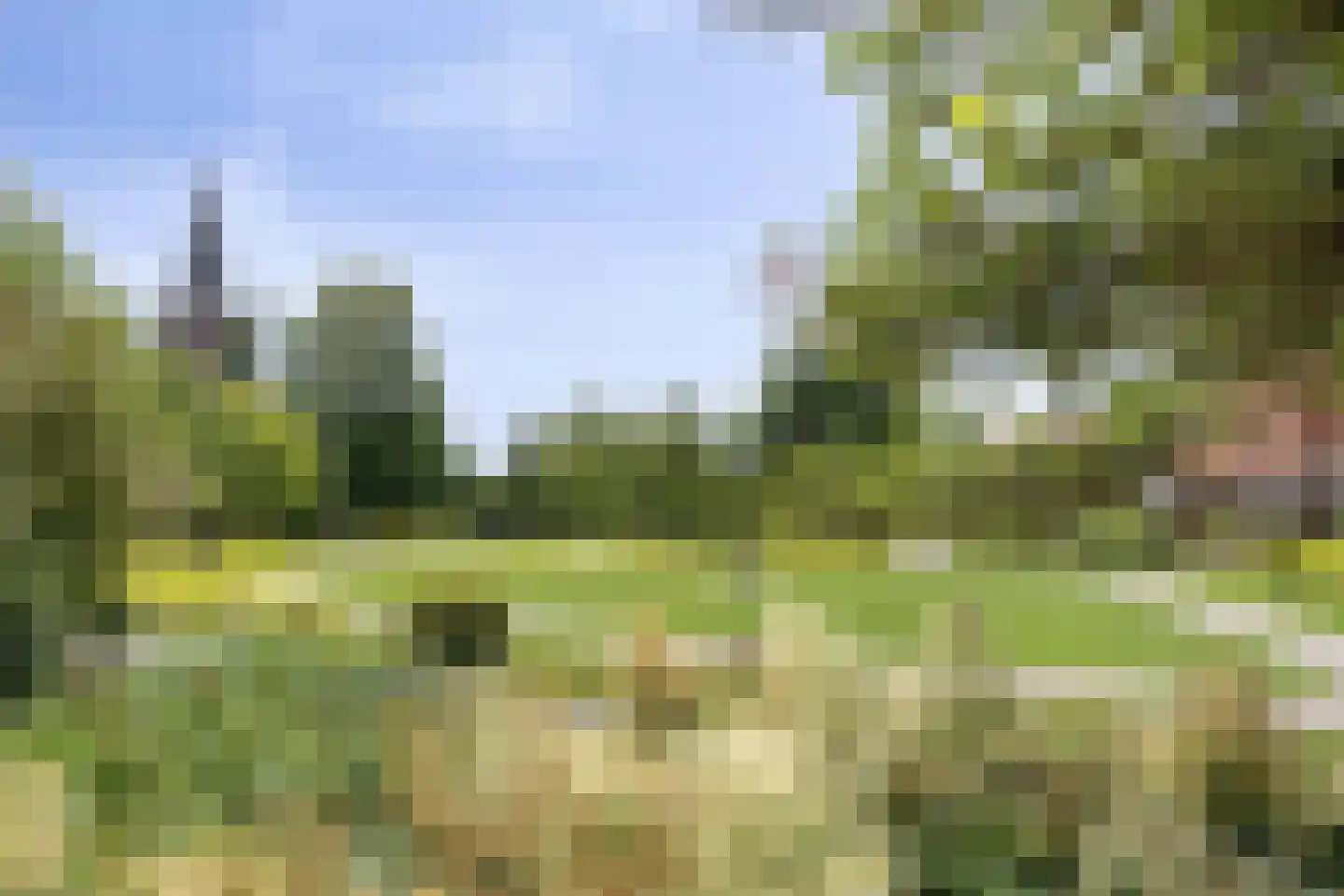 Bûterwâl 8 Akkrum thumbnail 49