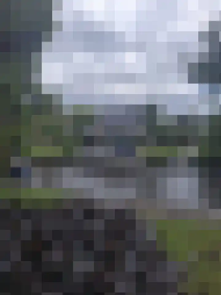 Bûterwâl 8 Akkrum thumbnail 5