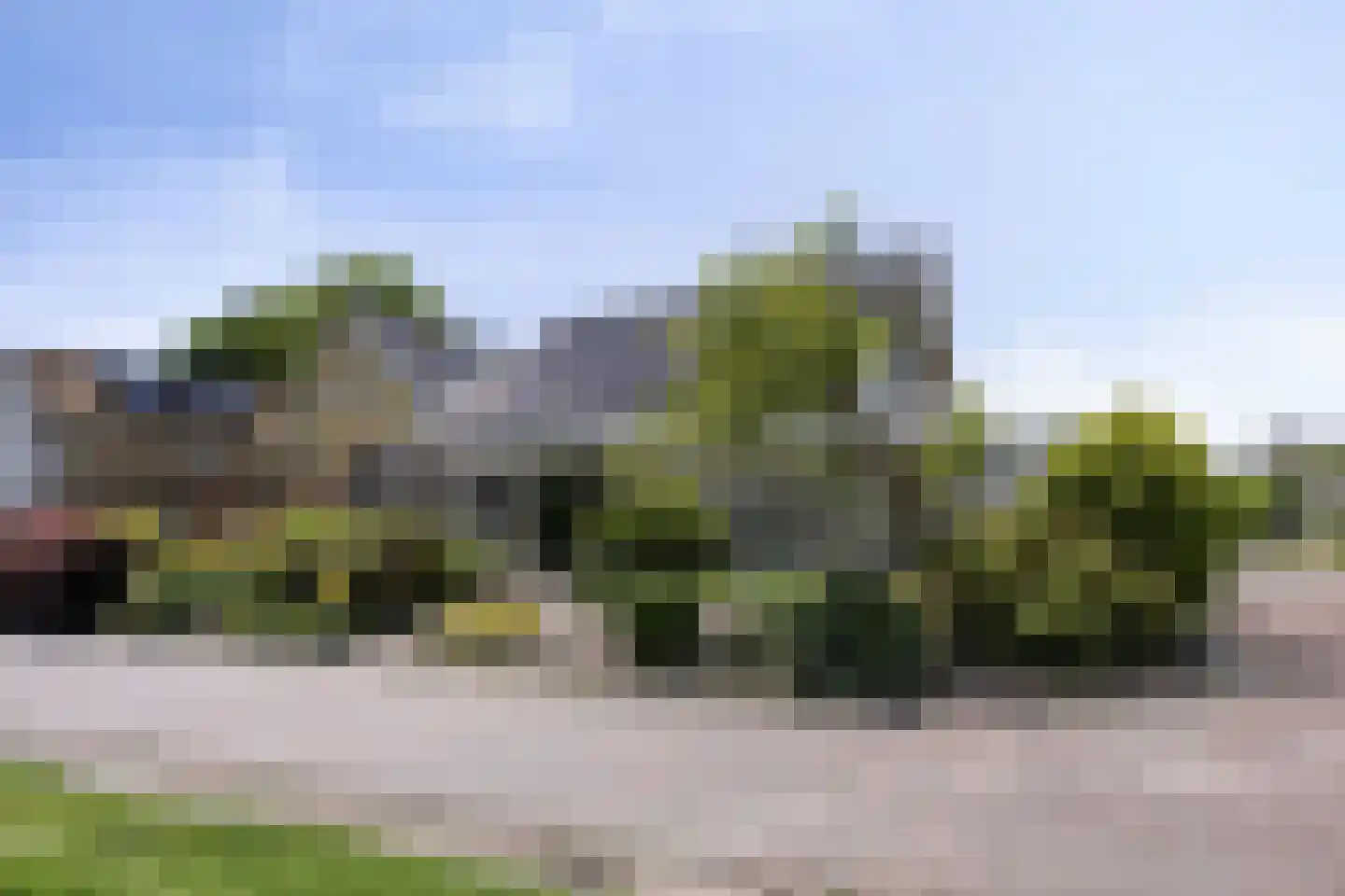 Bûterwâl 8 Akkrum thumbnail 5