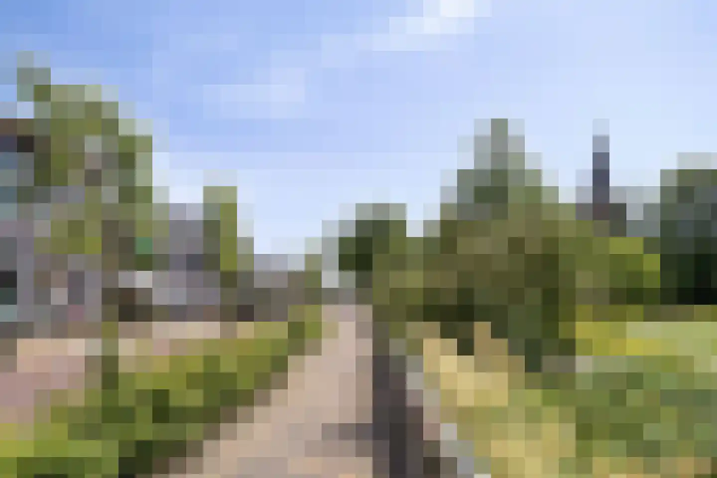 Bûterwâl 8 Akkrum thumbnail 50