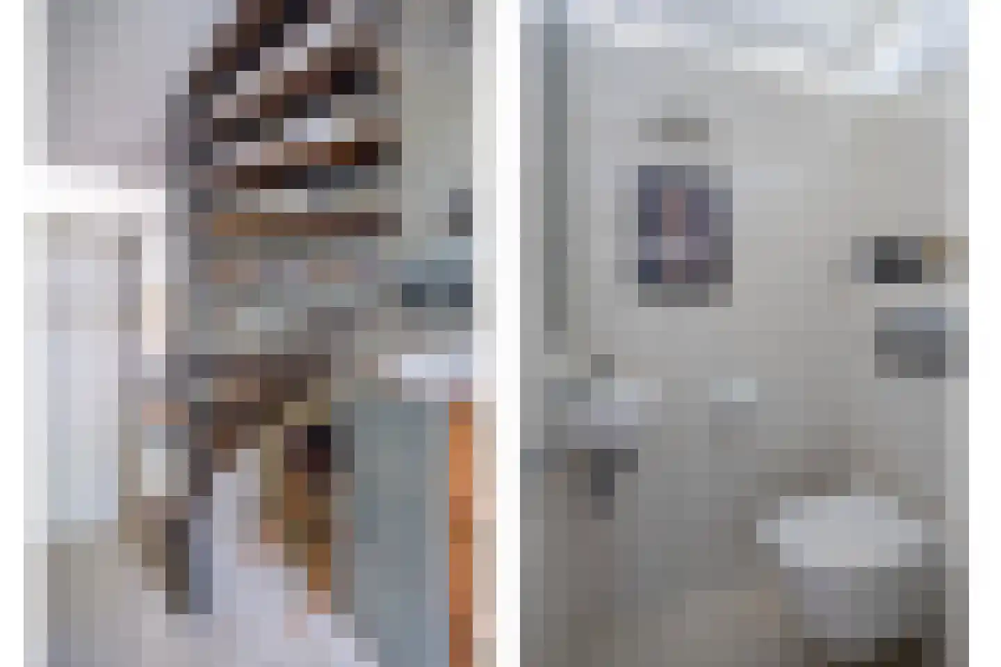 Bûterwâl 8 Akkrum thumbnail 8