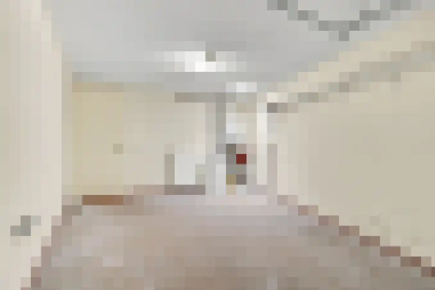 Buteuxstraat 9 Oost-Souburg thumbnail 22