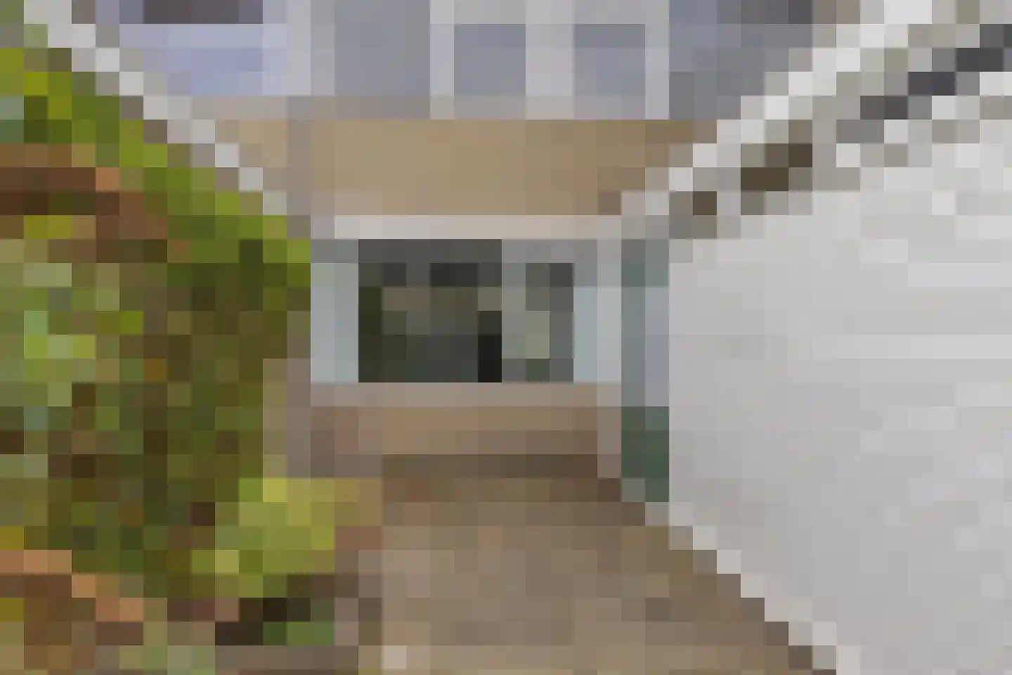 Bûtewacht 36 Drachten thumbnail 44