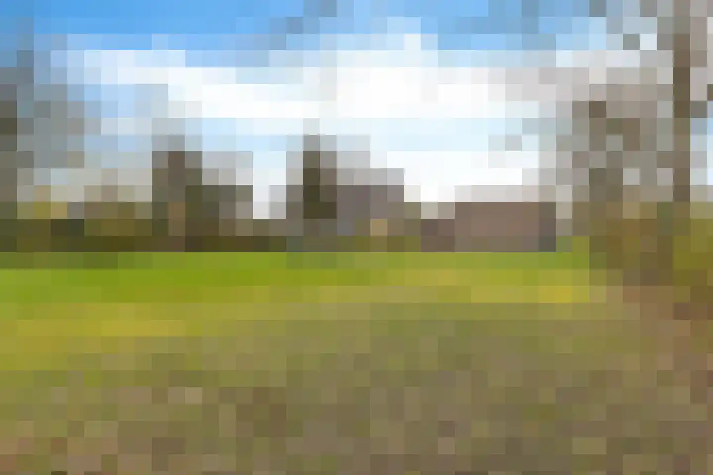 Bûtewacht 36 Drachten thumbnail 9