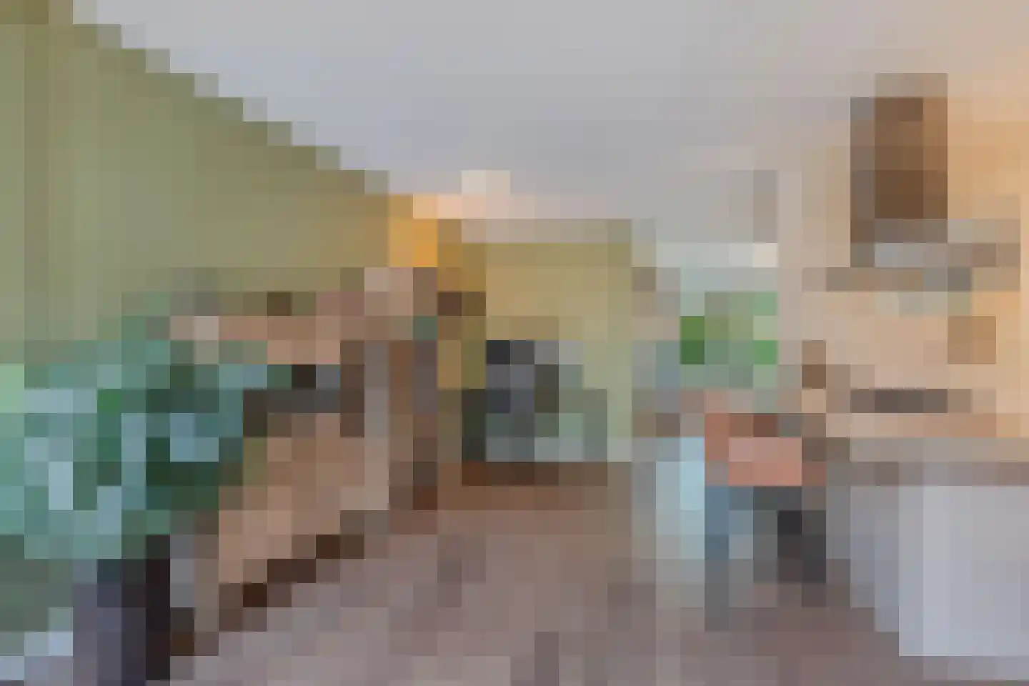 Bûtewacht 39 Drachten thumbnail 16