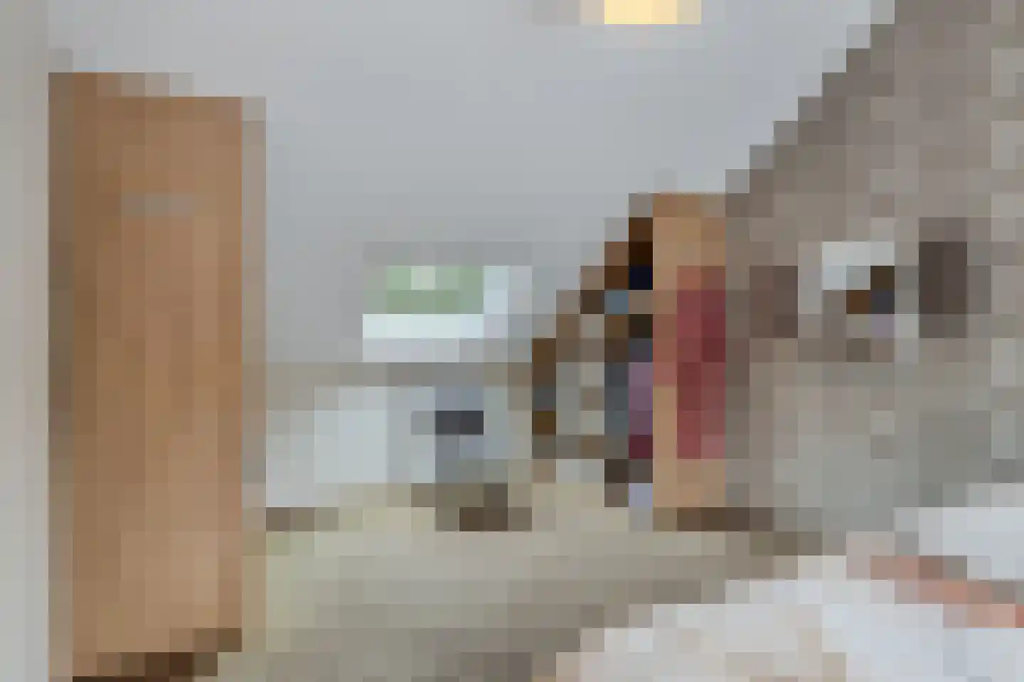 Bûtewacht 39 Drachten thumbnail 41