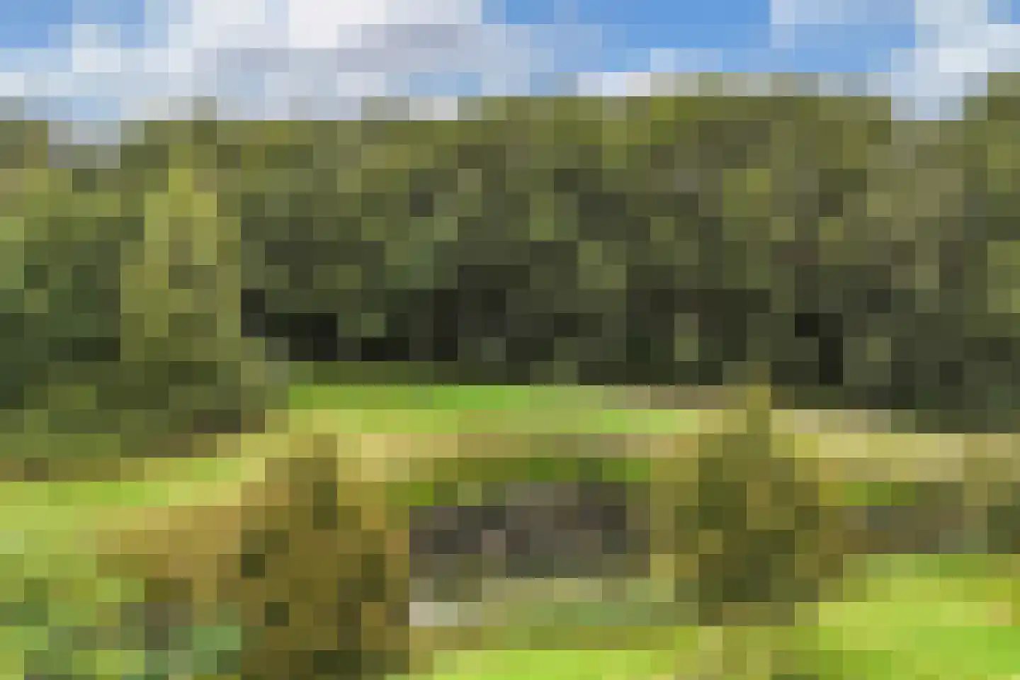 Bûtewacht 39 Drachten thumbnail 52