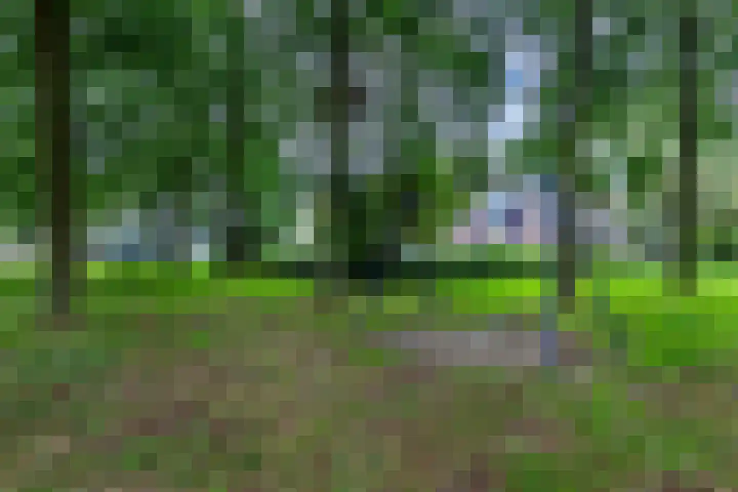 Bûtewacht 39 Drachten thumbnail 53