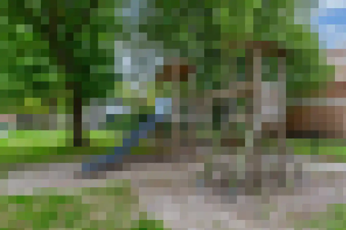 Bûtewacht 39 Drachten thumbnail 54