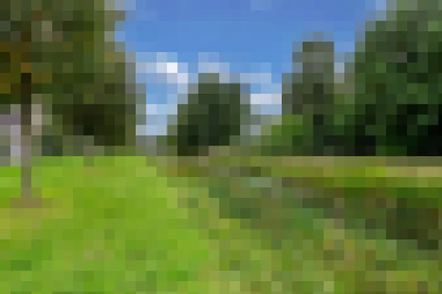 Bûtewacht 39 Drachten thumbnail 55