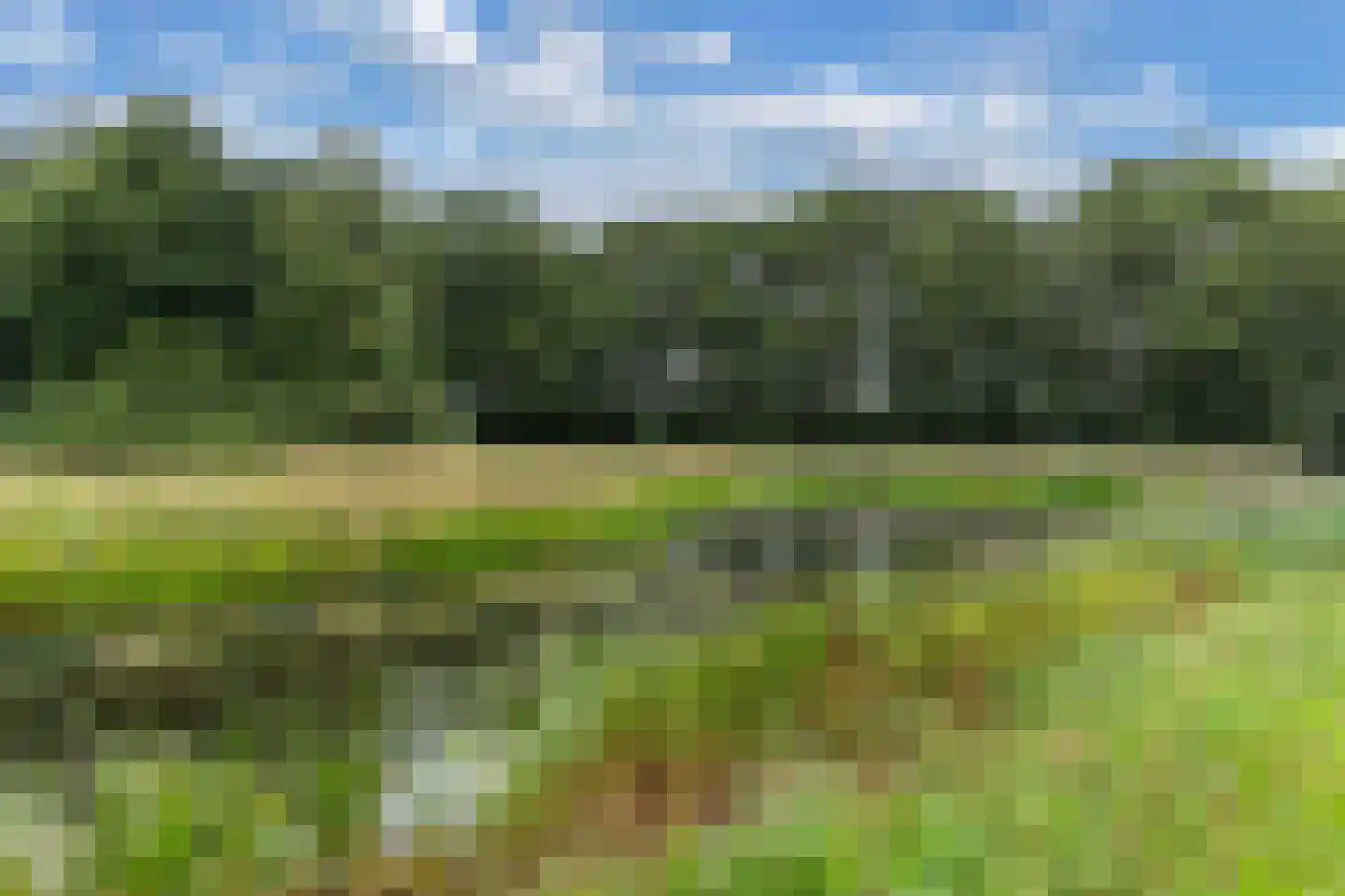 Bûtewacht 39 Drachten thumbnail 56