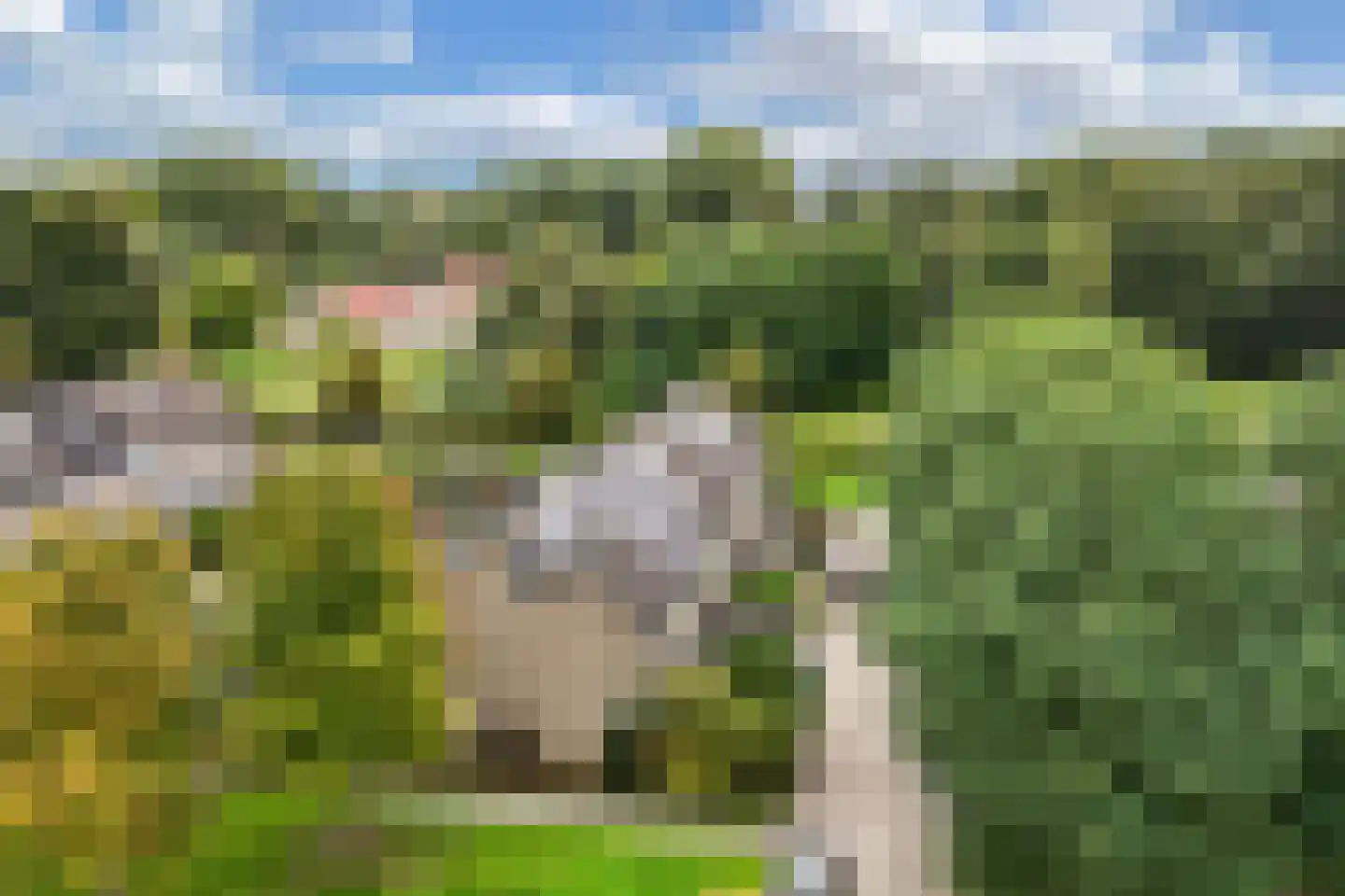Bûtewacht 39 Drachten thumbnail 6