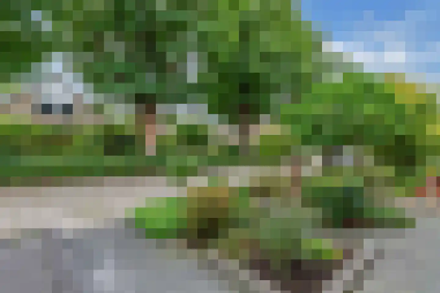 Bûtewacht 39 Drachten thumbnail 7