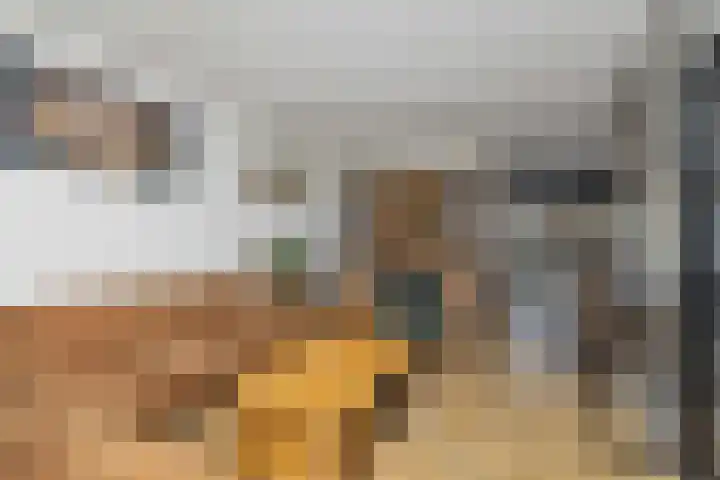 Bûtewacht 40 Drachten thumbnail 11