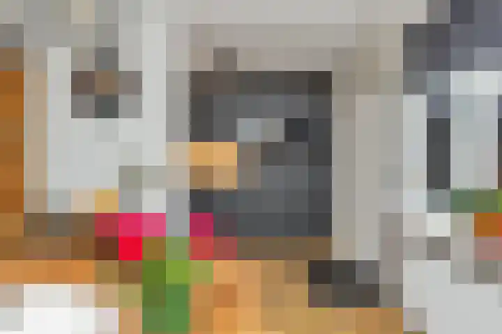 Bûtewacht 40 Drachten thumbnail 17