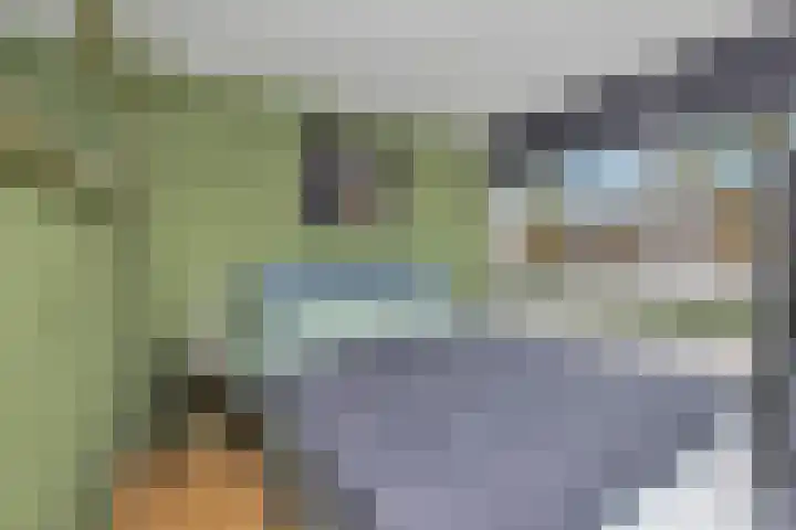 Bûtewacht 40 Drachten thumbnail 32