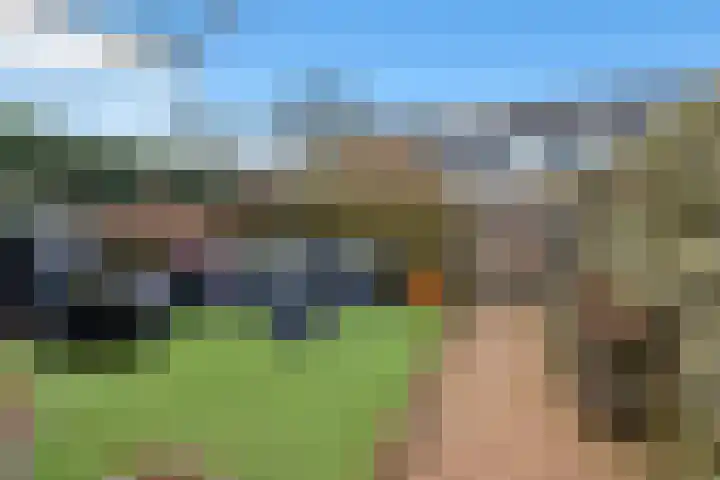 Bûtewacht 40 Drachten thumbnail 36