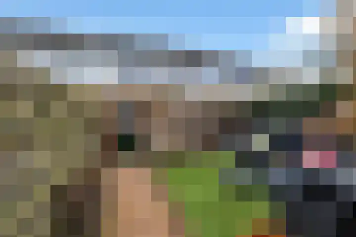 Bûtewacht 40 Drachten thumbnail 37